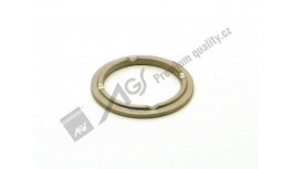 Washer CA 93-0160 AGS