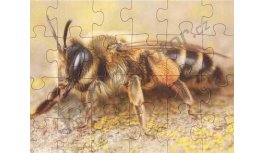 Board puzzle - bee, 24 pcs