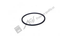 Oil and gas filter gasket AGS