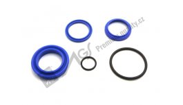 Cylinder seal kit AGS