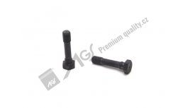 Connecting rod bolt 64-000-210 AGS