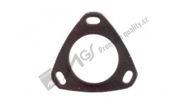 Injection pump gasket 84-009-501 AGS