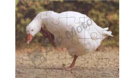 Board puzzle - goose, 24 pcs