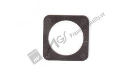 Thermostat gasket Z-25-3839.23 AGS