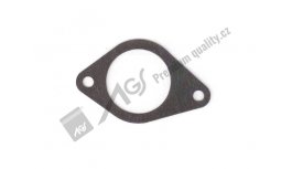 Inlet flange gasket AGS