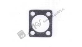Gasket AGS