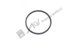 Cover gasket oil and fuel filter AGS