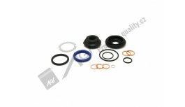 Power steering cylinder seal kit for 7211-3940 AGS AGS