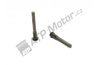 40111806: Safety screw