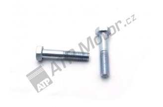 S12x60: Šroub 12x60  1101.8G