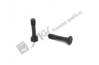 80003044: Connecting rod bolt 64-000-210 AGS