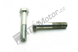 990396: Šroub M20x100