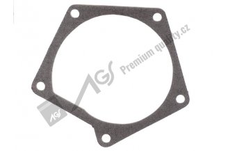 78017122: Water pump gasket 78-017-022 AGS