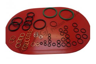 25115011: Hydraulic seal kit AGS