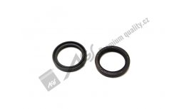 Gufero GP 97-4204 AGS