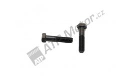 Schraube M12x1,25x55 SA