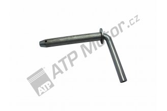 Z256029.67: Pin hinge