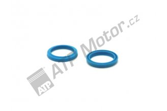 53256905: Sealing ring