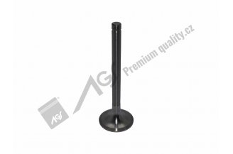 52020555 AGS: Inlet valve IN TUR 7901-0555 AGS *