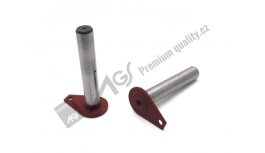 Čep d=25x145 UNC-060, L-752, 009015 AGS