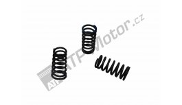Valve spring