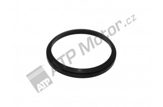 974590: Abstreifring 55