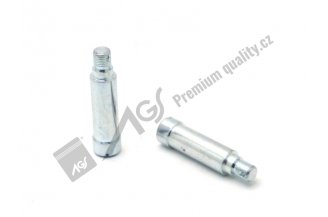 67454302: Svorník AGS