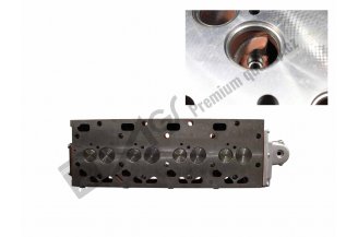 78006209: Cylinder head with valves EKO 3 8C FRT 1404 AGS