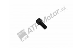 Šroub talířového kola diferenciálu