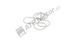 Těsnění podávacího čerpadla AL22x24,5x1 93-009-205