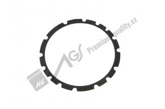 80161036: Gasket AGS