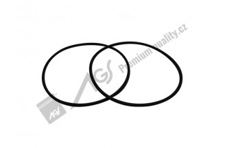 00000009 AGS: Zylinderdichtung 145,00x5,00 FPM-80 VITON schwarz LIAZ AGS