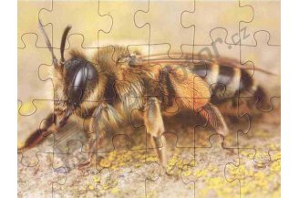 25001: Puzzle deskové - Včela-24 dílků