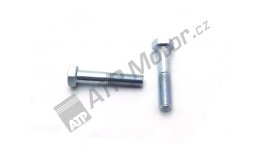 Šroub 12x60  1101.8G