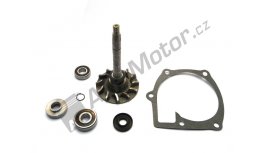 Repair kit for water pump