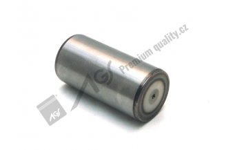 930110 AGS: Pin CA JRL, FRT AGS