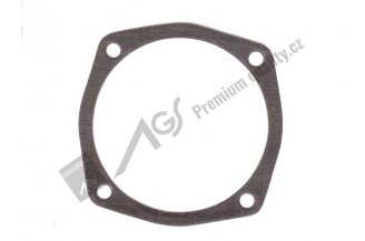 80108016: Gasket AGS