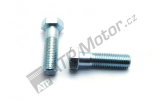 990395: Šroub M20x70 JRL+FRT