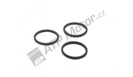 Kroužek těsnící brzdového třmenu