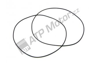 CA028579: O-kroužek  93-5287