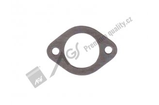 89002025: Gasket AGS