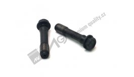 Connecting rod bolt 80-003-044 AGS