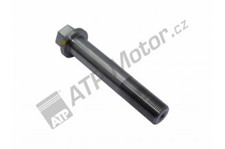 Z253598.22: Šroub zadního náboje M20x1,5x95