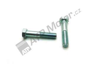 SM1890: Šroub