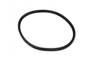 13X825AVX: Keilriemen 13x825 AVX 16-372-956
