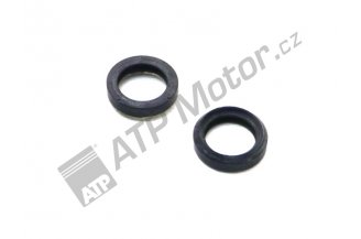 53350932: Dichtungsring 22 SCHLEMMER XX