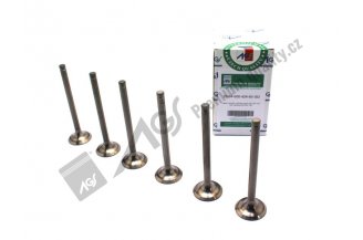 640004246VSD: Set valves EX 45° 6V AGS
