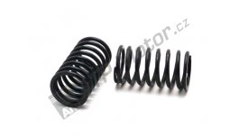 Valve spring outer C-330