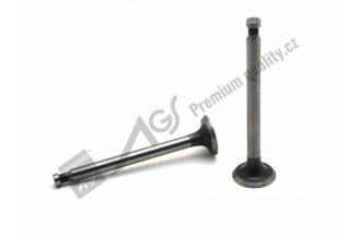 950506AGS: Exhaust valve EX d=10,00 mm AGS *
