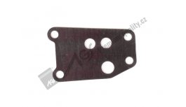 Oil cleaner gasket AGS
